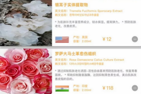 NEWNEW|比大牌還好用的私人定制，C位占領我的化妝臺！