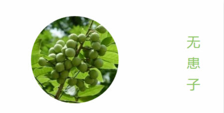 NewNewDIY|敏感肌如何選洗面奶？皮膚科醫生推薦這款！