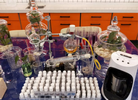 圣誕節(jié)，來NEWNEW智能光電美膚館給心愛的人驚喜吧