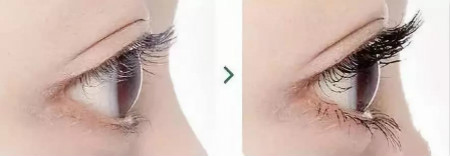 羨慕別人的長睫毛？GOLD LASH睫毛嫁接了解一下！