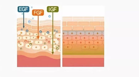 敏感肌不能化妝？良心推薦這款修復(fù)遮瑕霜！
