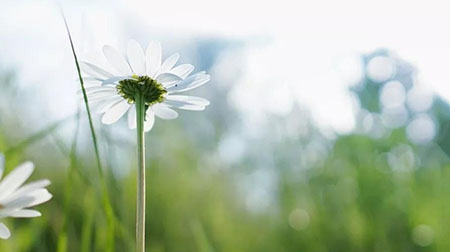 私享 | 2019春游指南，莫負(fù)好春光