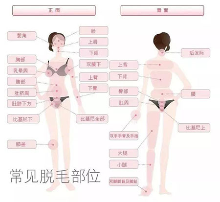 春季不脫毛，夏季獼猴桃！現(xiàn)在是脫毛的 佳時機(jī)~