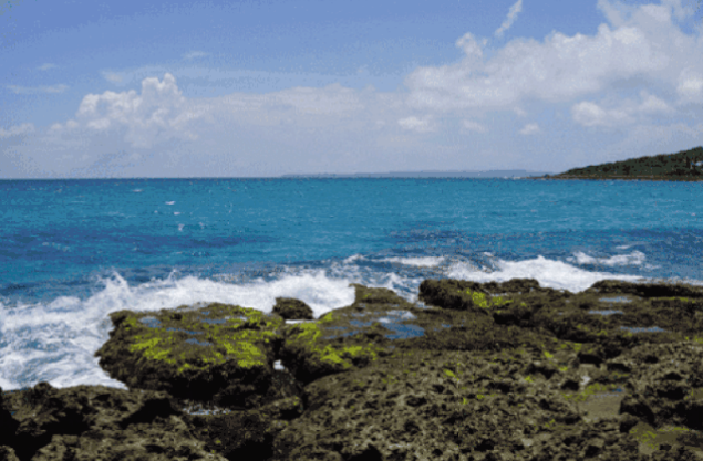 腳尖掀起美甲新潮流，女王出巡簡直亮瞎你的眼