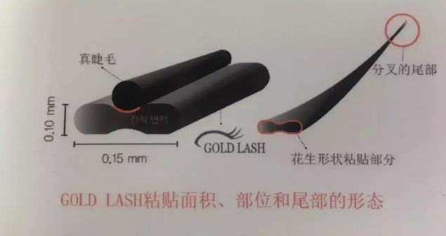 貌雖美卻眼無神？GOLD LASH夏日「美睫」Get娃娃電眼