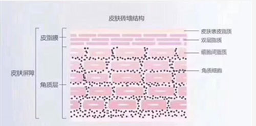 嚴(yán)重敏感肌會毀容?!從“爛臉”到正常只需這一步!