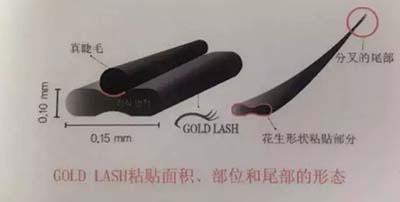 GOLD LASH：快看！拉高顏值的秘密法寶……