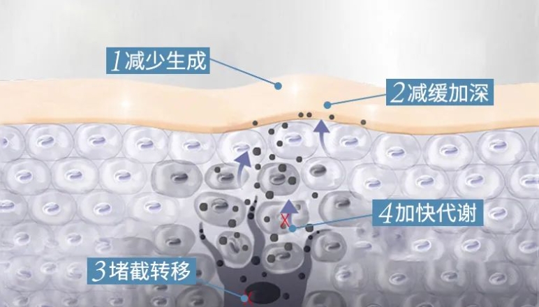 水漾保濕爽膚水，抓住發光“肌”密