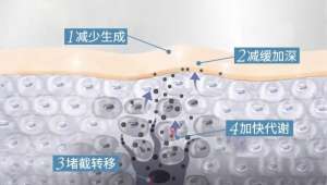 水漾保濕爽膚水，抓住發光“肌”密