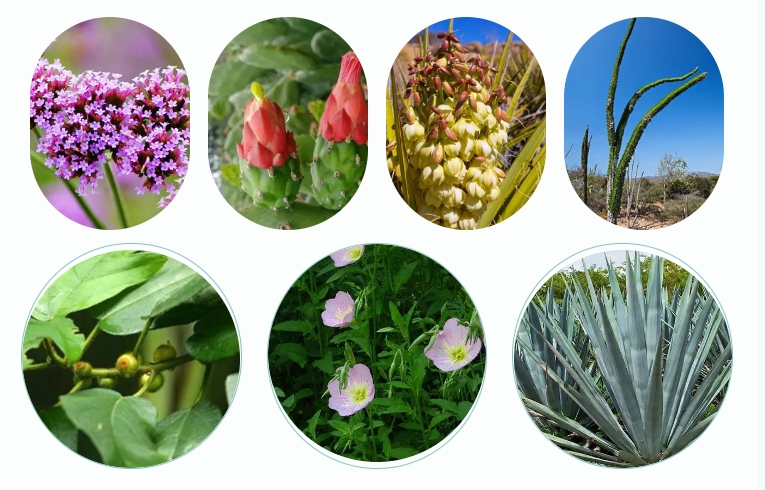 香薰收斂平衡清潔素 | 角質搓泥神器，揉出細膩好肌膚