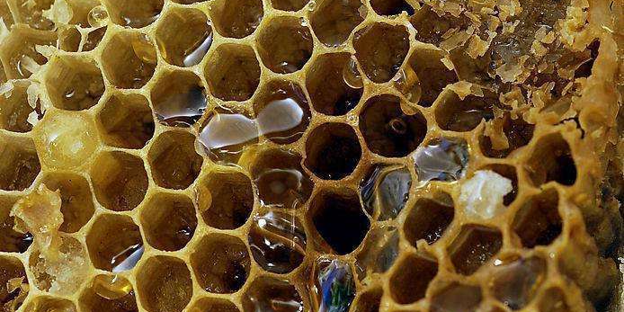 想讓精華效果翻多倍？做對這三點就OK！